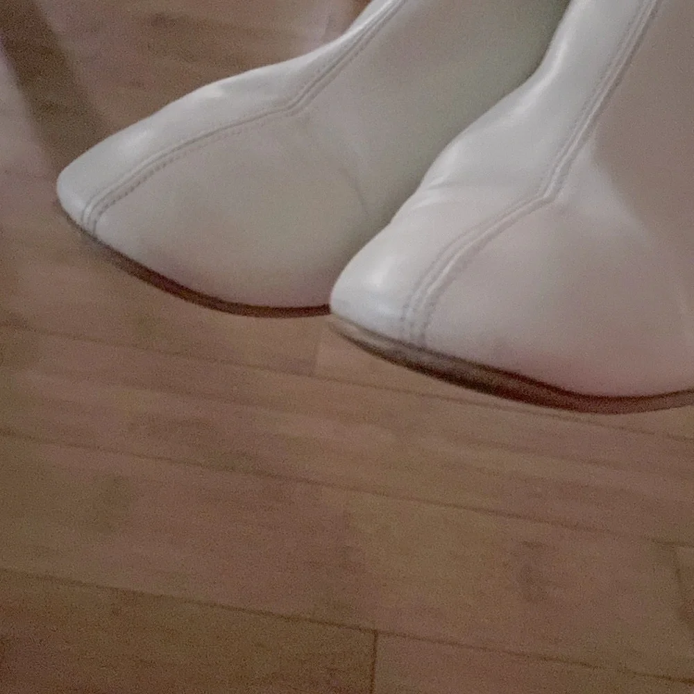 Sleek Everlane Day Boot
